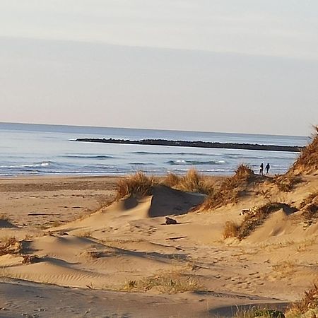T2 Rdc Avec Jardin, Cap D'Agde, Secteur Falaise, 100 M Plage, Clim, Wifi, Parking Exterior photo